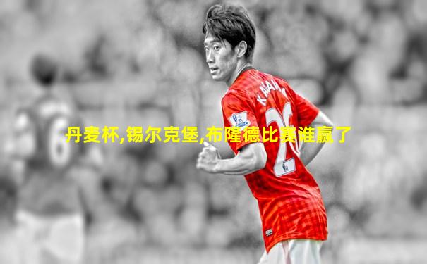 丹麦杯,锡尔克堡,布隆德比赛谁赢了