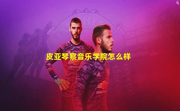 皮亚琴察音乐学院怎么样