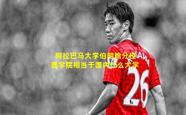 阿拉巴马大学伯明翰分校医学院相当于国内什么大学