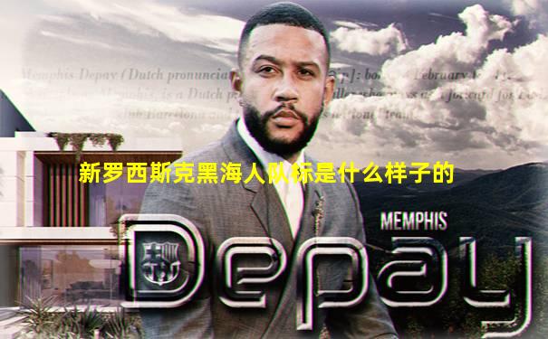 新罗西斯克黑海人队标是什么样子的