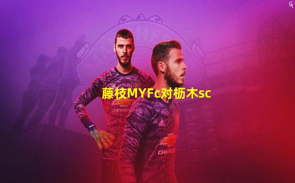 藤枝MYFc对枥木sc