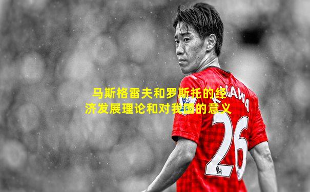马斯格雷夫和罗斯托的经济发展理论和对我国的意义